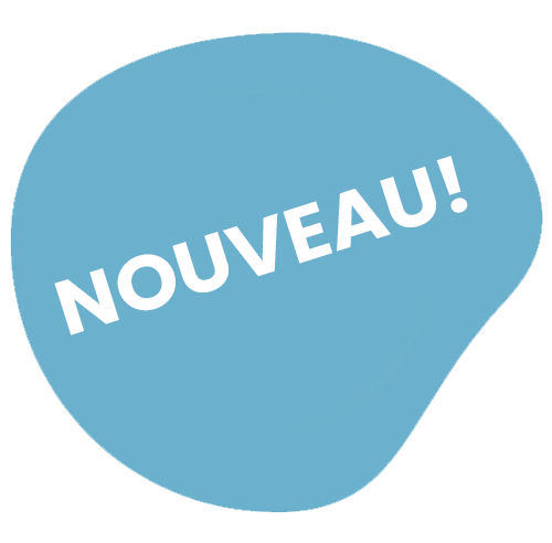 60830_Sirop pour milkshake à l’orange